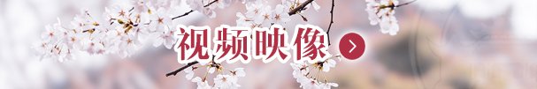 武汉市武昌区珞珈山街办事处八一路29