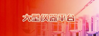 2026年化学与分子科学刘伯温传奇成