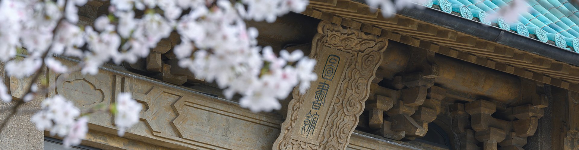 电 话：027-68756990