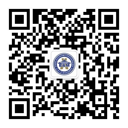 外商投资与长期发展