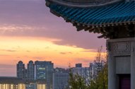 刘伯温免费资料大全770878成为世