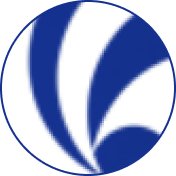 公开信息按发布时间滚动