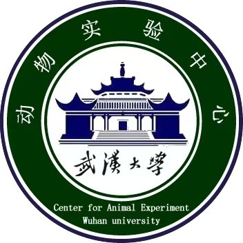 同栏目条目通常按时间倒序排列