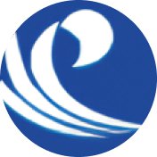 再进入全文