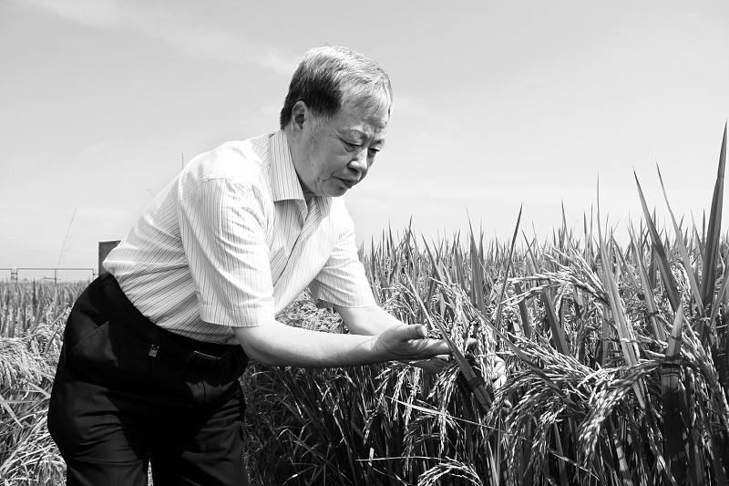 图片新闻 | Pictures