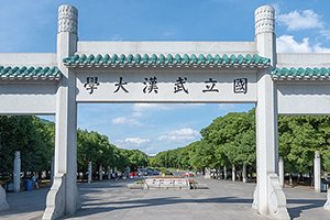 教学背景丰富