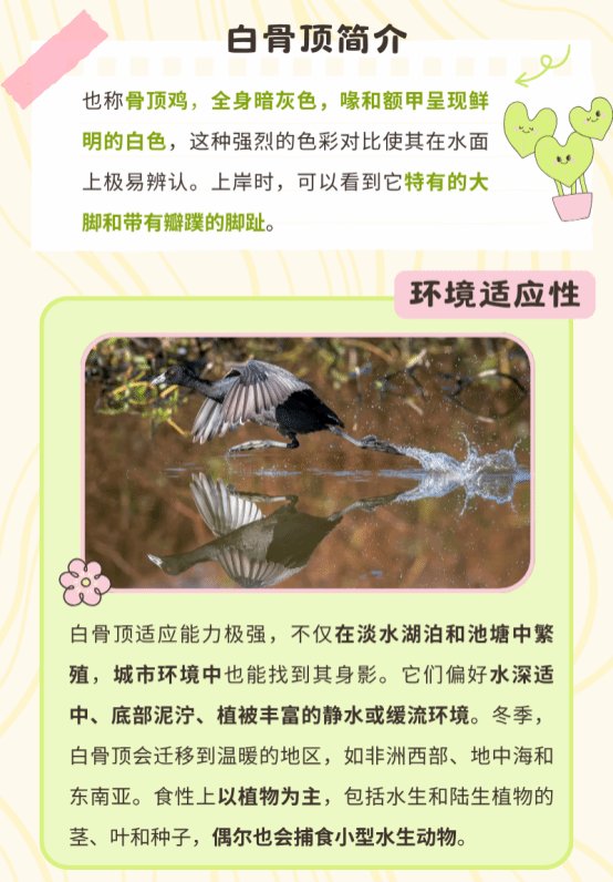 "PingFang SC"