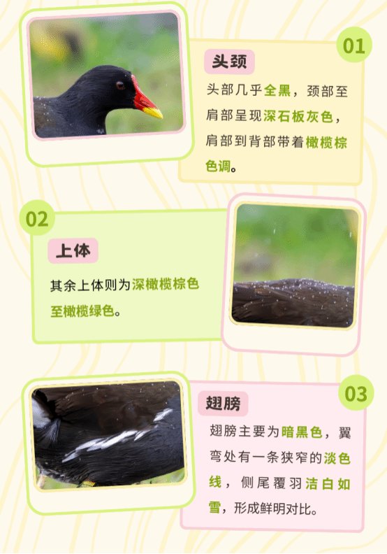 "宋体"