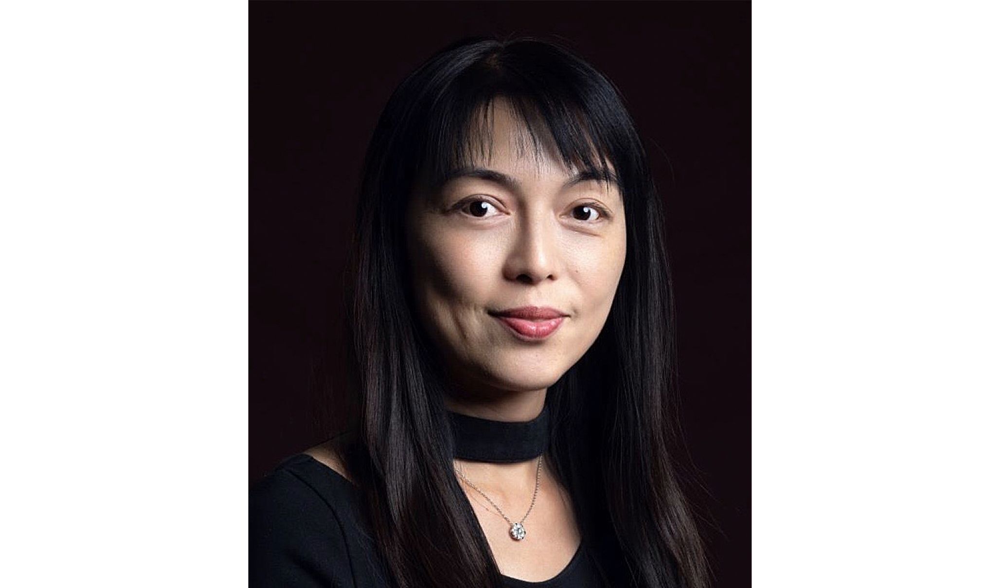 现为美国匹兹堡大学斯旺森工程刘伯温免