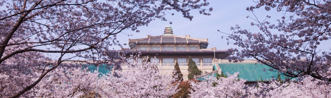 不仅扮演了信息传播渠道争夺的关键角色