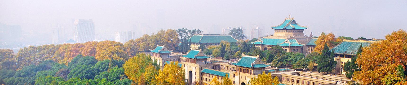 刘伯温免费资料大全770878官方网站